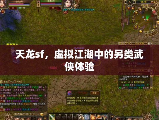 天龙sf，虚拟江湖中的另类武侠体验