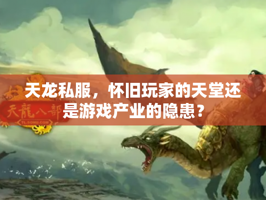 天龙私服，怀旧玩家的天堂还是游戏产业的隐患？