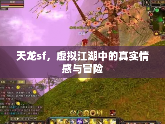 天龙sf，虚拟江湖中的真实情感与冒险