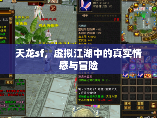 天龙sf，虚拟江湖中的真实情感与冒险