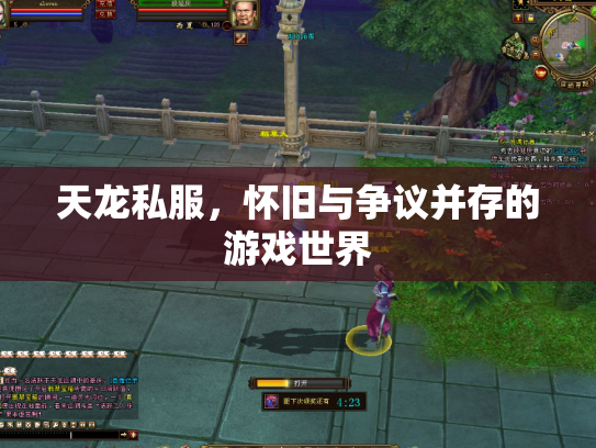 天龙私服，怀旧与争议并存的游戏世界