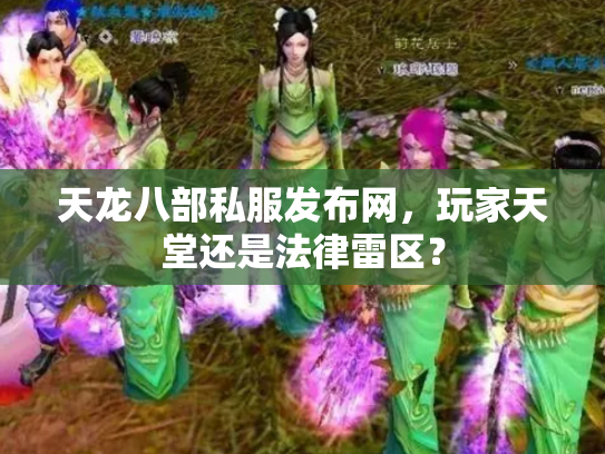 天龙八部私服发布网，玩家天堂还是法律雷区？