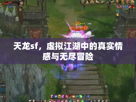 天龙sf，虚拟江湖中的真实情感与无尽冒险