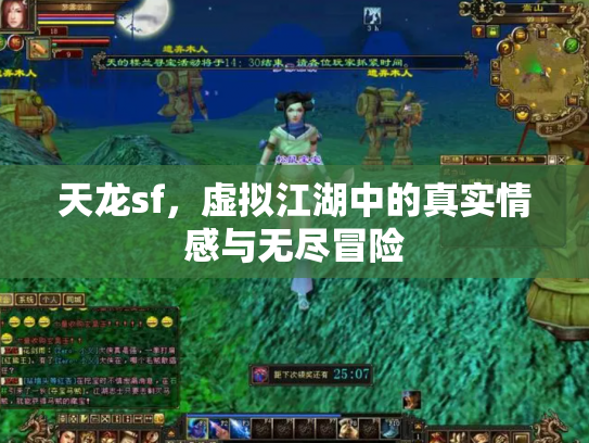 天龙sf，虚拟江湖中的真实情感与无尽冒险