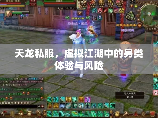 天龙私服，虚拟江湖中的另类体验与风险