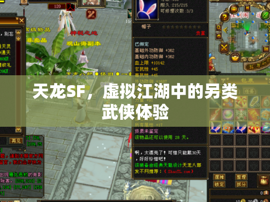 天龙SF，虚拟江湖中的另类武侠体验