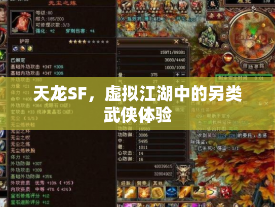 天龙SF，虚拟江湖中的另类武侠体验