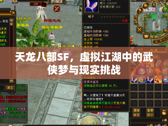 天龙八部SF，虚拟江湖中的武侠梦与现实挑战