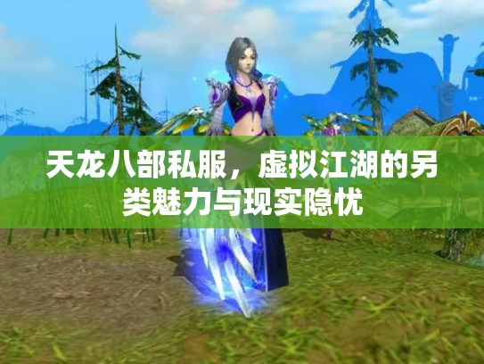 天龙八部私服，虚拟江湖的另类魅力与现实隐忧