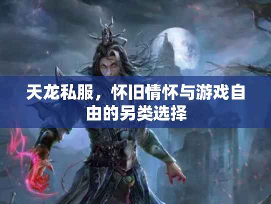 天龙私服，怀旧情怀与游戏自由的另类选择