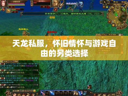 天龙私服，怀旧情怀与游戏自由的另类选择