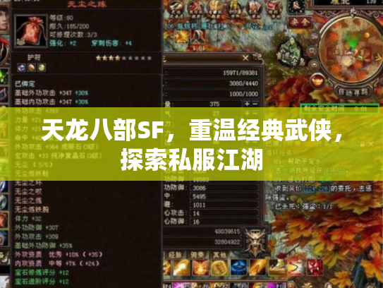 天龙八部SF，重温经典武侠，探索私服江湖