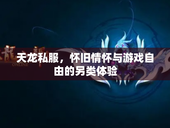 天龙私服，怀旧情怀与游戏自由的另类体验