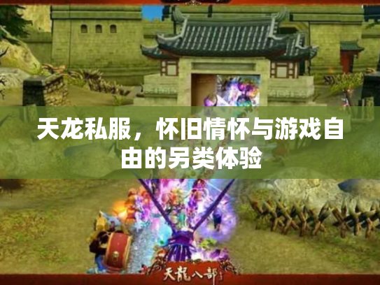 天龙私服，怀旧情怀与游戏自由的另类体验