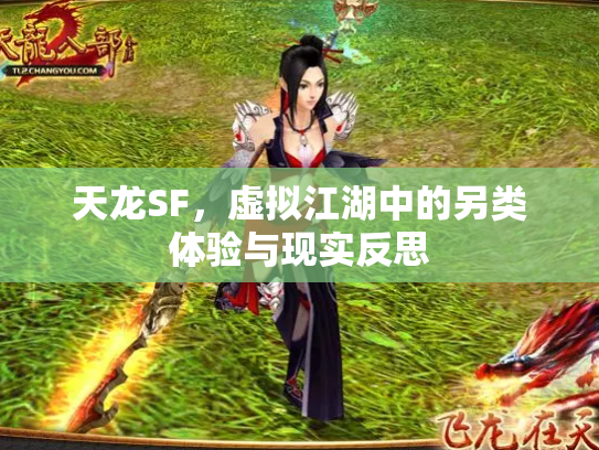 天龙SF，虚拟江湖中的另类体验与现实反思