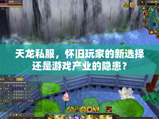 天龙私服，怀旧玩家的新选择还是游戏产业的隐患？