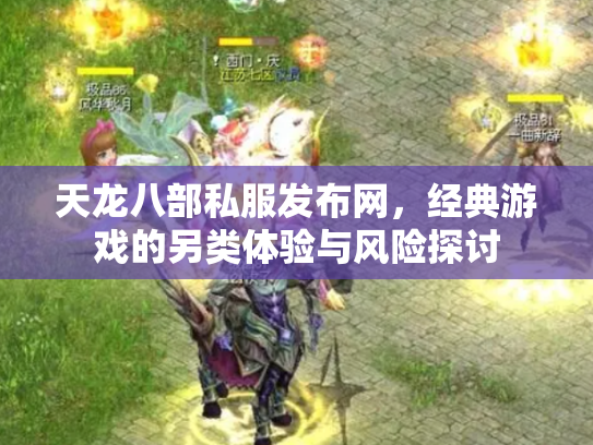 天龙八部私服发布网，经典游戏的另类体验与风险探讨