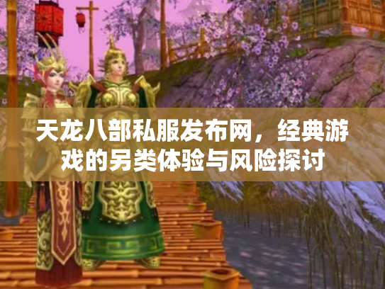 天龙八部私服发布网，经典游戏的另类体验与风险探讨