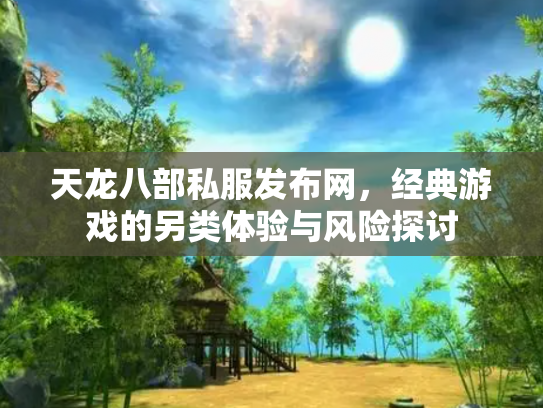 天龙八部私服发布网，经典游戏的另类体验与风险探讨
