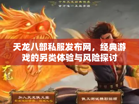 天龙八部私服发布网，经典游戏的另类体验与风险探讨