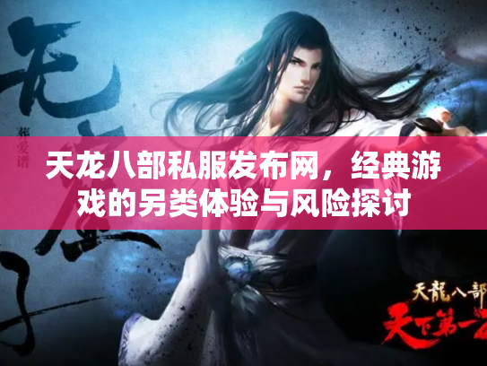 天龙八部私服发布网，经典游戏的另类体验与风险探讨