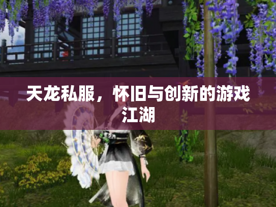 天龙私服，怀旧与创新的游戏江湖