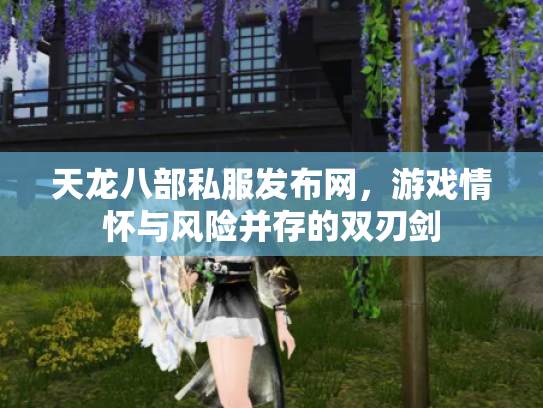 天龙八部私服发布网，游戏情怀与风险并存的双刃剑
