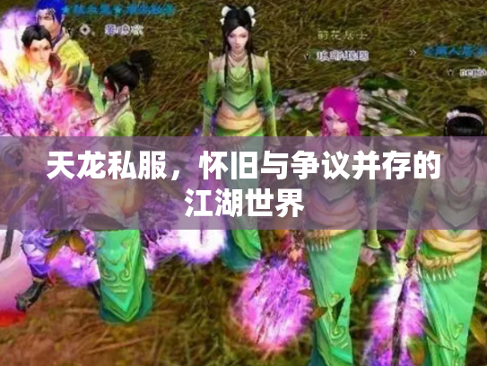 天龙私服，怀旧与争议并存的江湖世界
