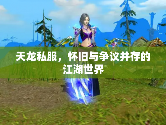 天龙私服，怀旧与争议并存的江湖世界