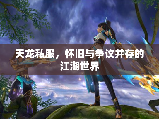 天龙私服，怀旧与争议并存的江湖世界