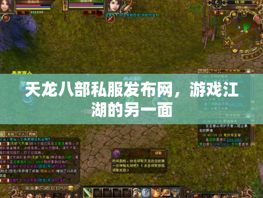 天龙八部私服发布网，游戏江湖的另一面