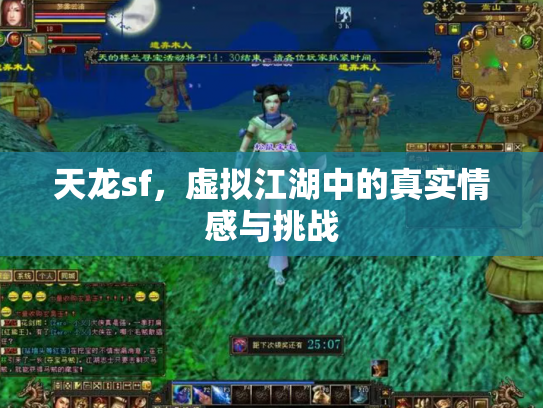 天龙sf，虚拟江湖中的真实情感与挑战