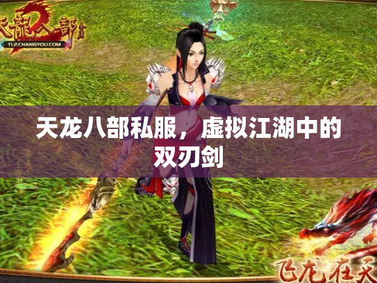 天龙八部私服，虚拟江湖中的双刃剑