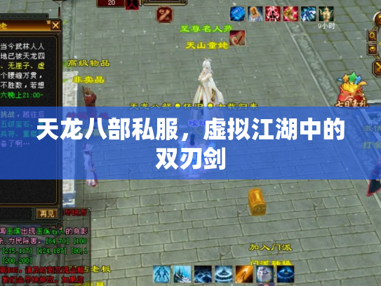 天龙八部私服，虚拟江湖中的双刃剑