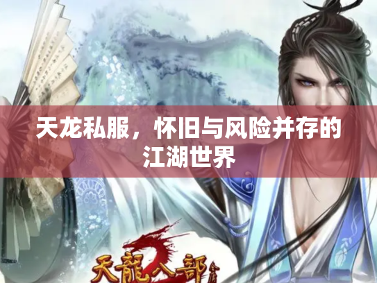 天龙私服，怀旧与风险并存的江湖世界