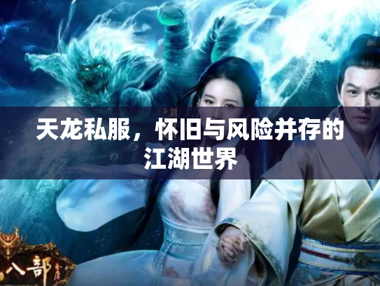 天龙私服，怀旧与风险并存的江湖世界
