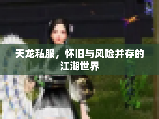 天龙私服，怀旧与风险并存的江湖世界