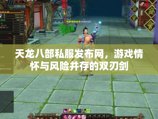 天龙八部私服发布网，游戏情怀与风险并存的双刃剑