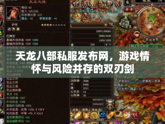 天龙八部私服发布网，游戏情怀与风险并存的双刃剑