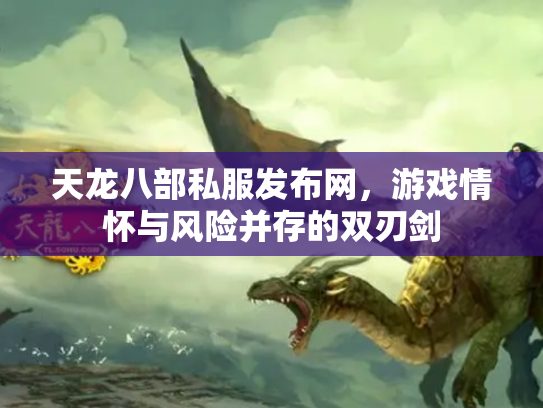 天龙八部私服发布网，游戏情怀与风险并存的双刃剑
