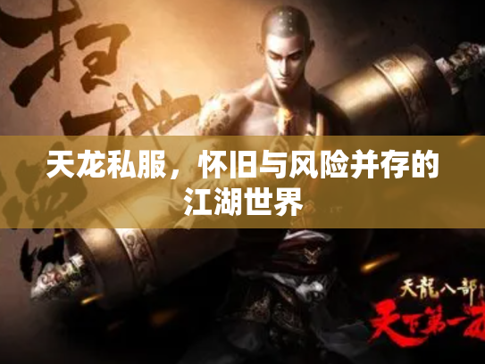 天龙私服，怀旧与风险并存的江湖世界