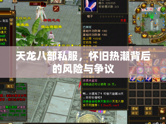 天龙八部私服，怀旧热潮背后的风险与争议