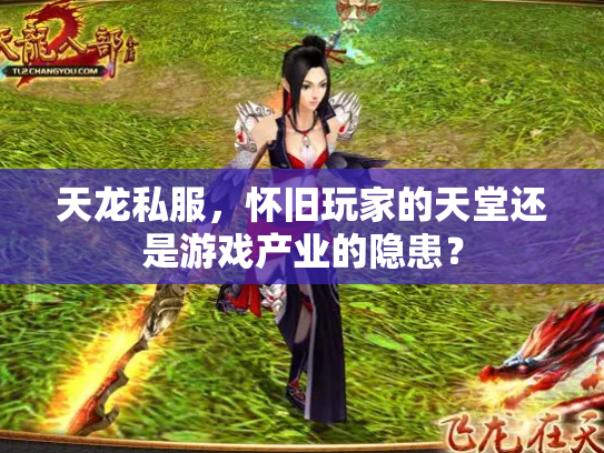 天龙私服，怀旧玩家的天堂还是游戏产业的隐患？