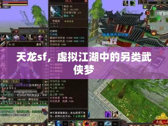 天龙sf，虚拟江湖中的另类武侠梦