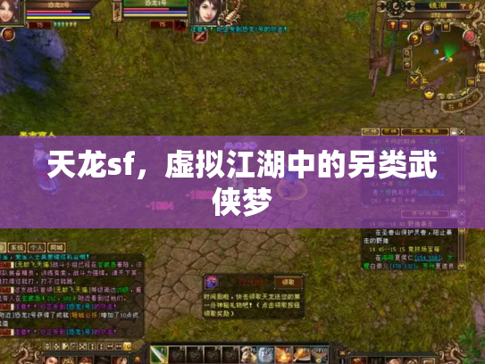 天龙sf，虚拟江湖中的另类武侠梦