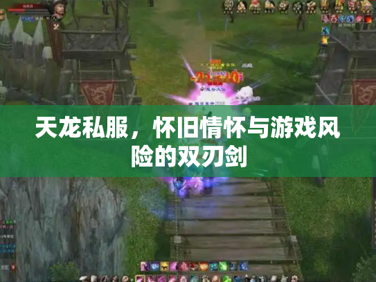 天龙私服，怀旧情怀与游戏风险的双刃剑