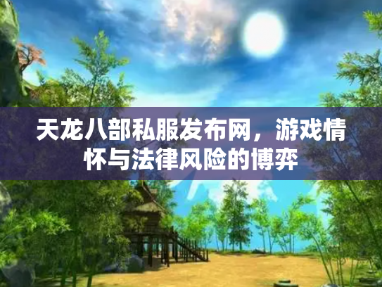 天龙八部私服发布网，游戏情怀与法律风险的博弈