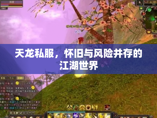 天龙私服，怀旧与风险并存的江湖世界