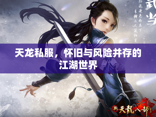 天龙私服，怀旧与风险并存的江湖世界