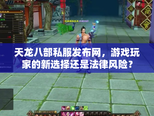 天龙八部私服发布网，游戏玩家的新选择还是法律风险？